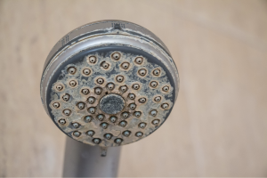 effects of hard water on a shower head. bluefrog Plumbing + Drain of Amarillo, Texas.