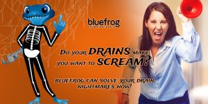 Are you in need of professional drain cleaning services?